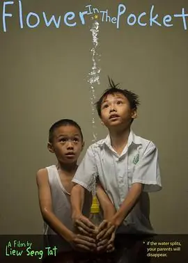 口袋里的花海报