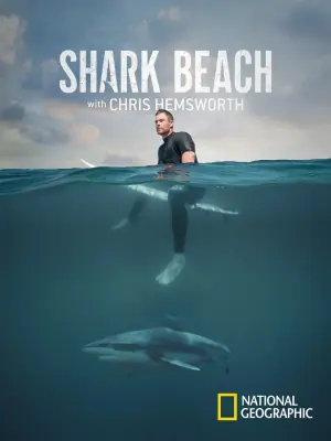 克里斯&middot;海姆斯沃斯的鲨滩奇遇海报
