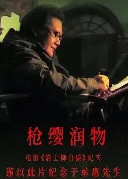 枪缨润物--电影<箭士柳白猿>纪实海报