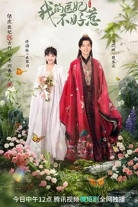 我的医妃不好惹3海报