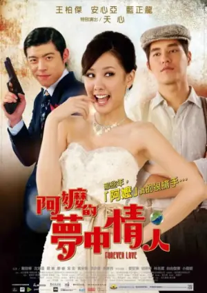 阿嬷的梦中情人海报