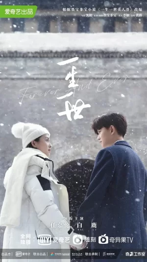 一生一世电视剧海报