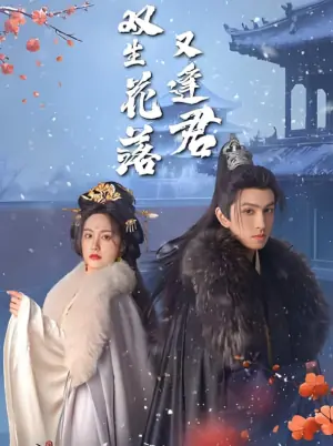 双生花落又逢君海报