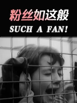 粉丝如这般海报