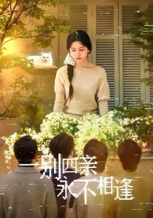 一别四亲永不相逢海报