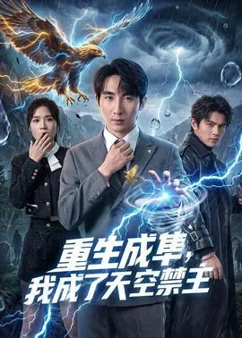 重生成隼,我成了天空禁主海报