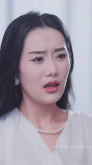 历先生宠妻无限海报