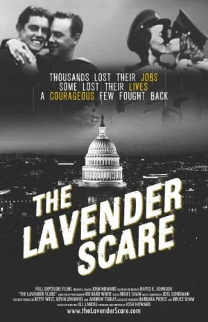 薰衣草恐慌海报