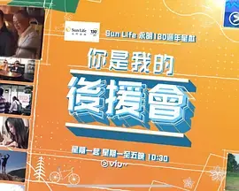 你是我的后援会海报