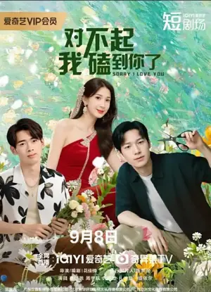 对不起,我磕到你了海报