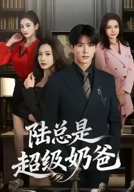 陆总是超级奶爸海报