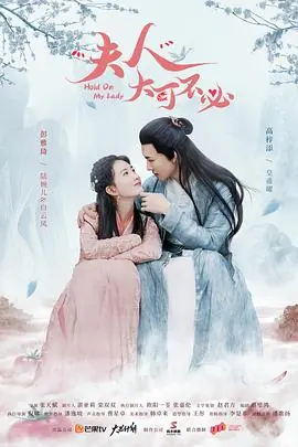 夫人大可不必海报
