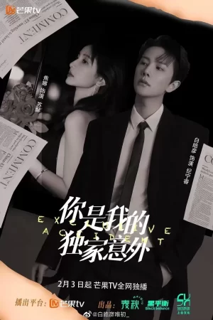 你是我的独家意外海报