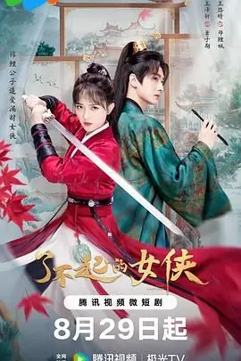 了不起的女侠海报
