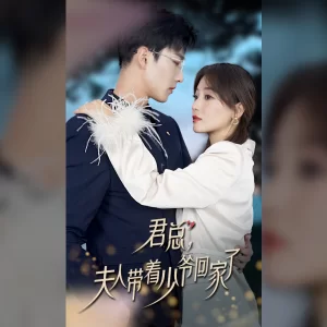 君总,夫人带着少爷回家了海报