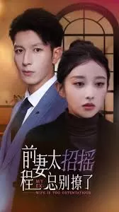 前妻太招摇,程总别撩了海报