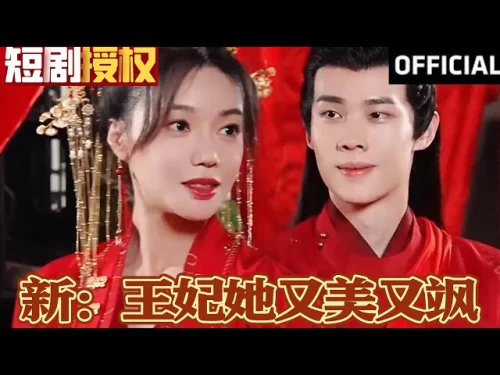 摄政王妃她又美又飒海报