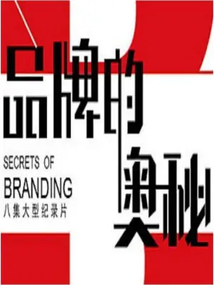 品牌的奥秘海报