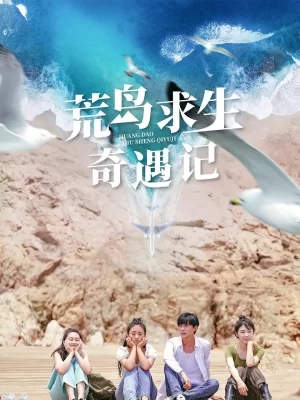荒岛求生奇遇记海报