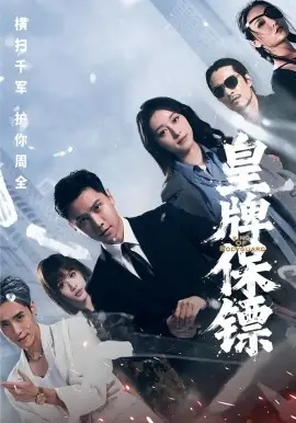 皇牌保镖海报