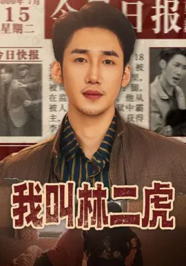 我叫林二虎海报