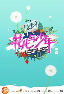 花儿与少年第四季海报