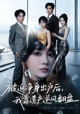 被迫净身出户后,我靠遗产逆风翻盘海报