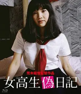 女高中生伪日记海报