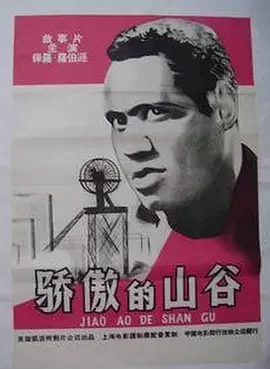 骄傲的山谷海报