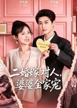 二婚嫁对人,婆婆全家宠海报