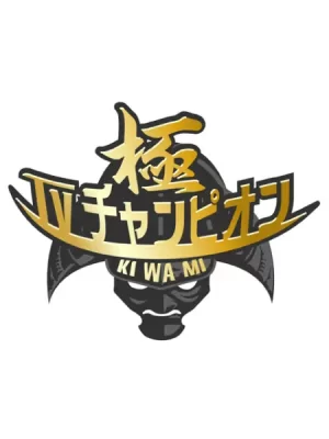 电视冠军之极海报