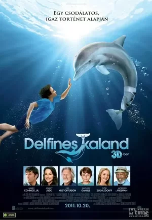 一只海豚的故事[影视解说]海报