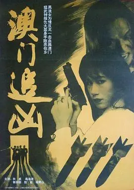澳门追凶海报