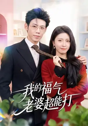 我的福气老婆超能打海报