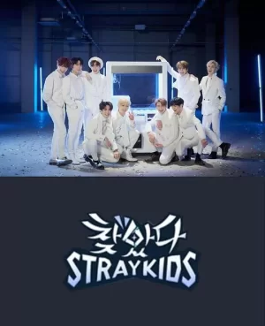 找到了StrayKids海报