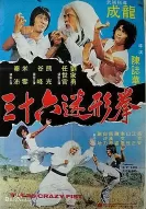 三十六迷形拳海报