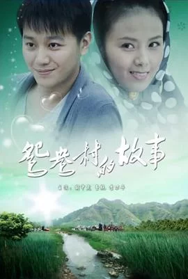 鸳鸯村的故事海报