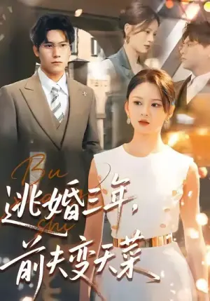 逃婚三年,前夫变天菜海报