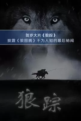 狼踪海报