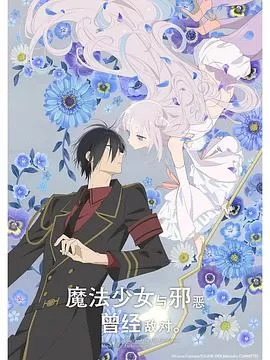 魔法少女与恶曾是敌人.海报