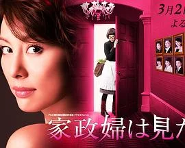 家政妇看见了!海报