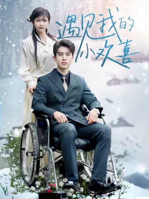 遇见我的小欢喜海报