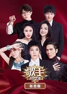 歌手当打之年秘密版海报