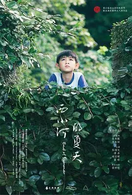 西小河的夏天海报