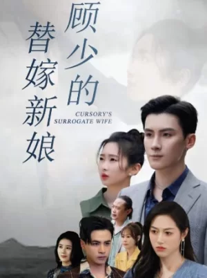 顾少的替嫁新娘海报