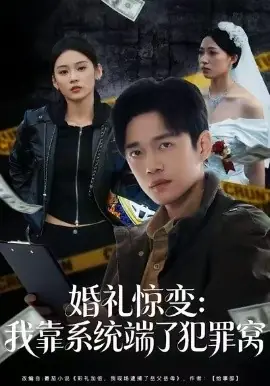 婚礼惊变:我靠系统端了犯罪窝海报