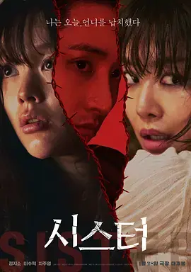 姐妹[电影解说]海报