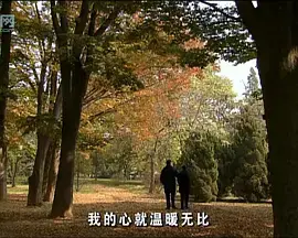 花落时节海报
