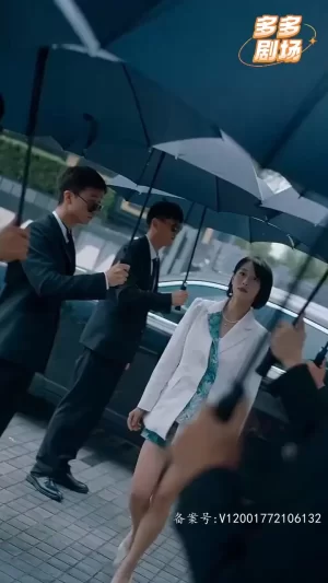 闻先生的马甲又掉了海报