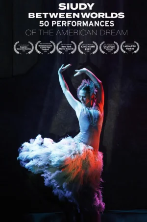 世界之间的谜团海报